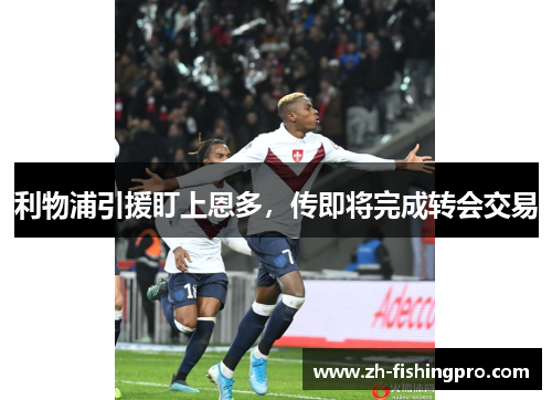 利物浦引援盯上恩多，传即将完成转会交易